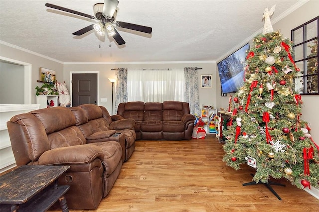 living room with a textured ceiling, light hardwood / wood-style flooring, ceiling fan, and crown molding