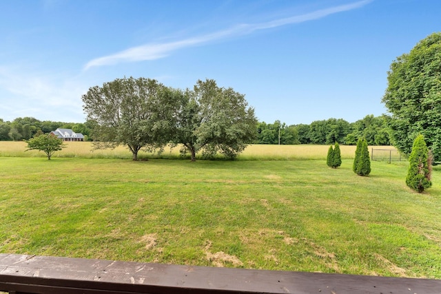 view of yard featuring a rural view