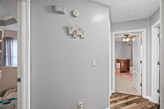 hallway with hardwood / wood-style flooring