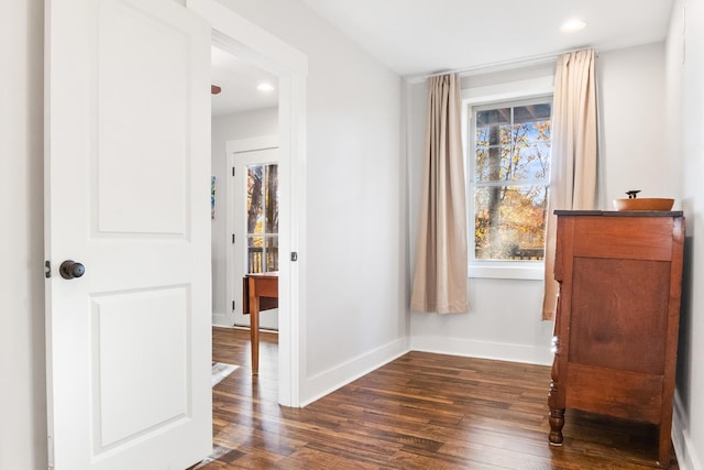 interior space with dark hardwood / wood-style flooring