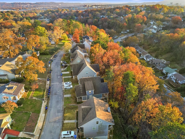 aerial view