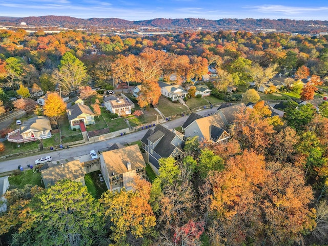 bird's eye view