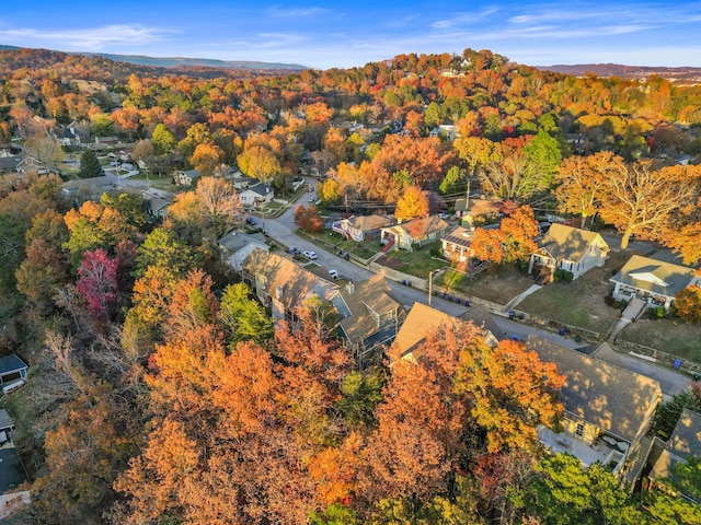 bird's eye view