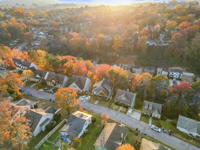 bird's eye view