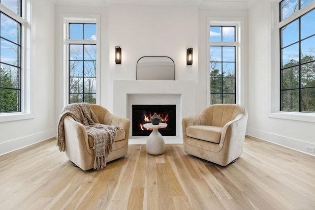 living area with light hardwood / wood-style floors and a healthy amount of sunlight