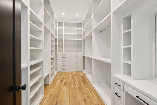 spacious closet featuring light wood-type flooring