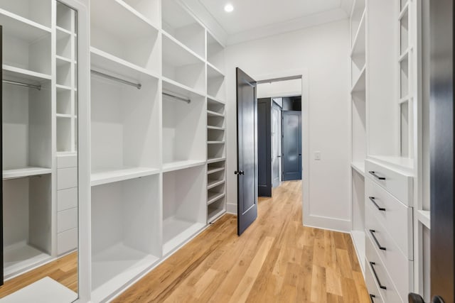 walk in closet with light hardwood / wood-style floors