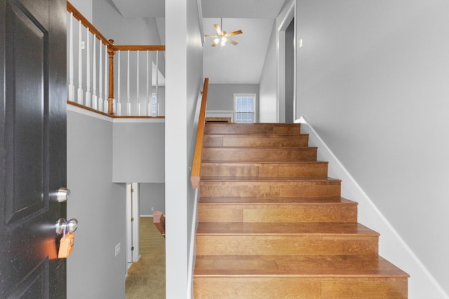 staircase with carpet, ceiling fan, and vaulted ceiling