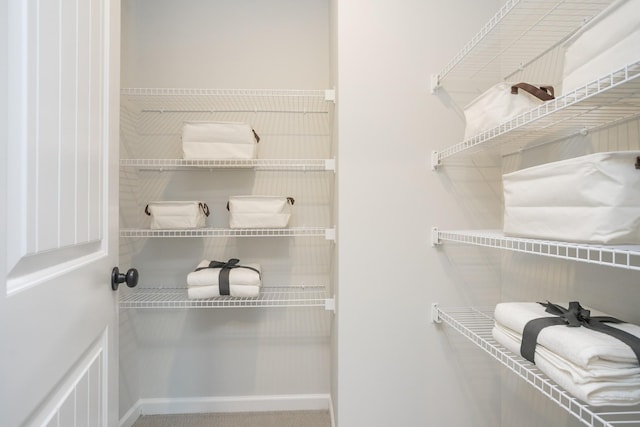 spacious closet with carpet floors