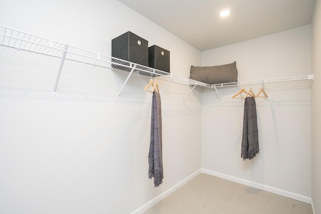 spacious closet featuring carpet floors