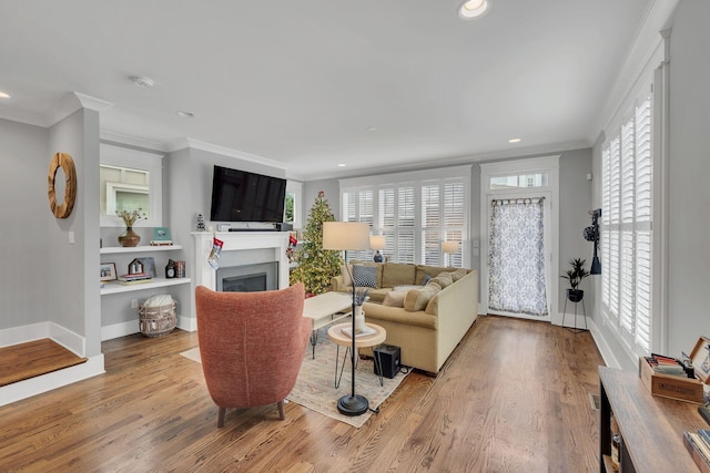 living room with ornamental molding and light hardwood / wood-style flooring