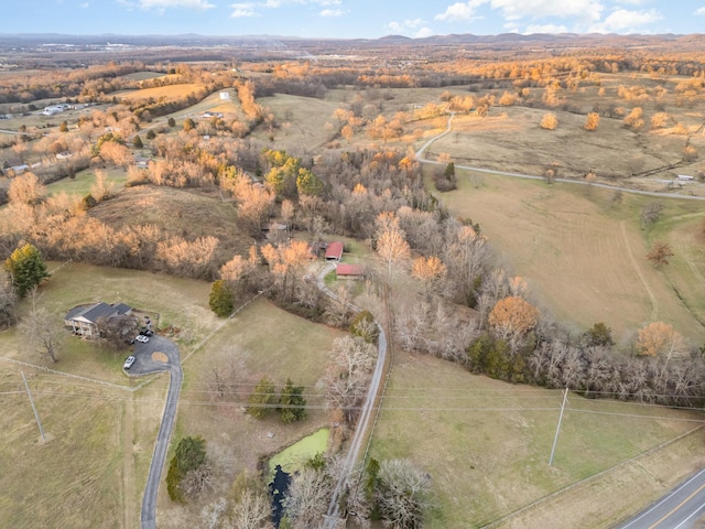 drone / aerial view with a rural view