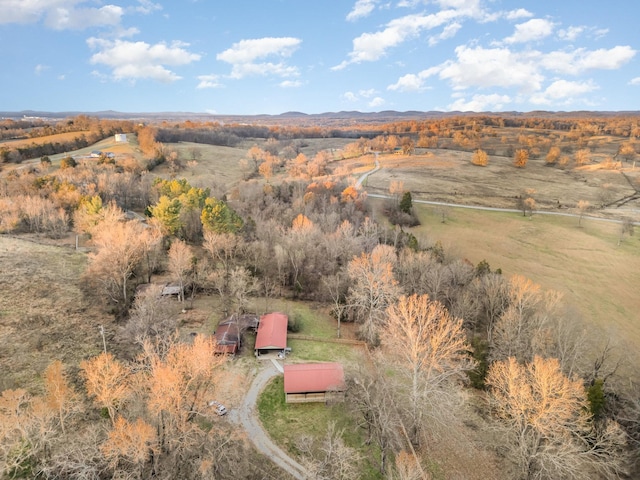 drone / aerial view with a rural view