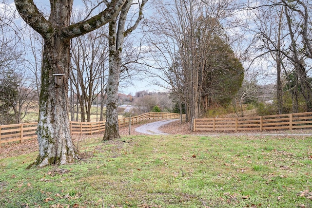 view of yard with a rural view