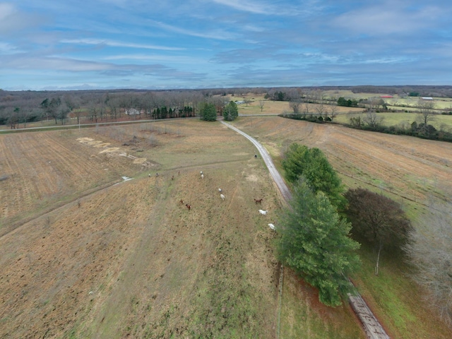 bird's eye view with a rural view