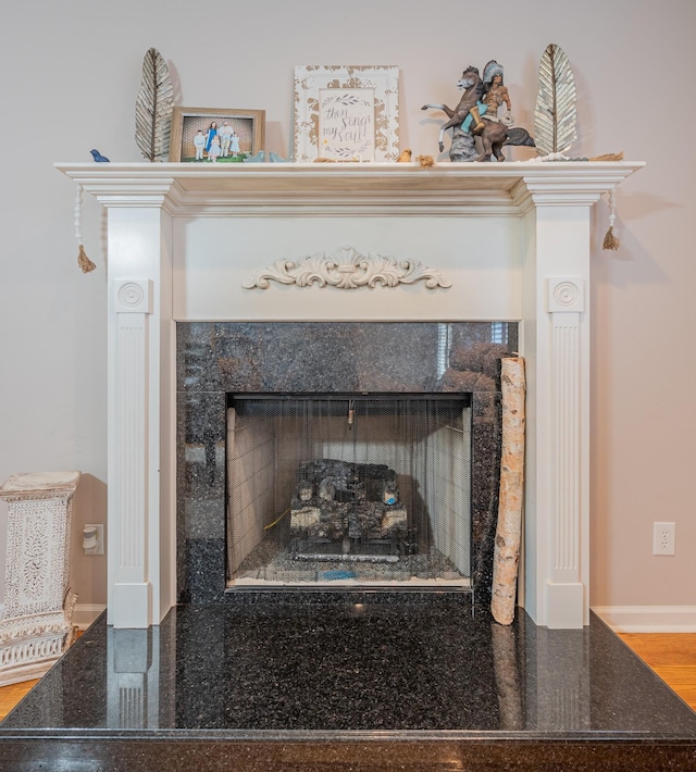 interior details with hardwood / wood-style floors and a fireplace