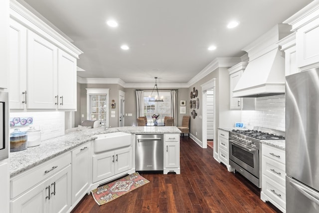 kitchen with white cabinetry, sink, dark hardwood / wood-style floors, custom range hood, and appliances with stainless steel finishes