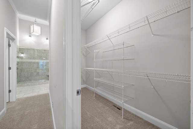 spacious closet featuring light carpet