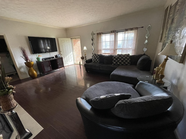 living room featuring crown molding, dark hardwood / wood-style flooring, and a textured ceiling