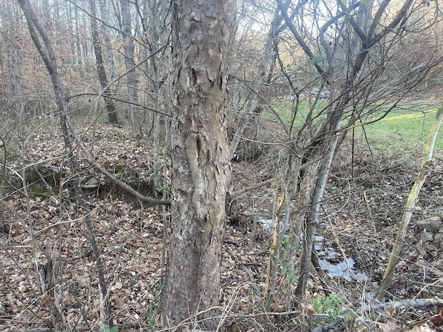 16 Autumn Trl, Dover, TN 37058