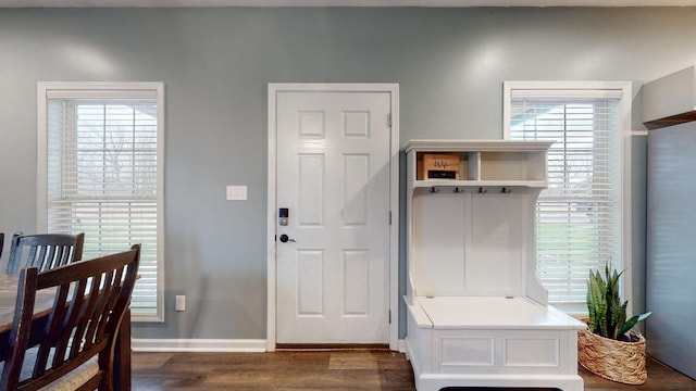 mudroom featuring a wealth of natural light and dark hardwood / wood-style floors