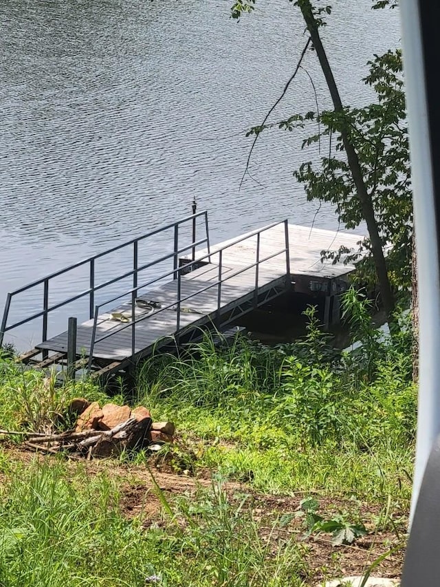 dock area with a water view