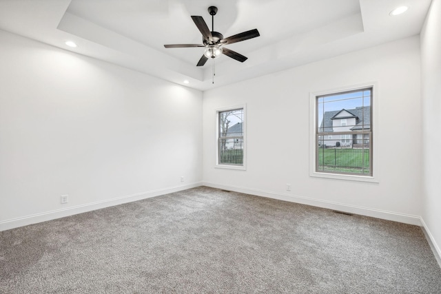 unfurnished room with a raised ceiling, plenty of natural light, and carpet floors