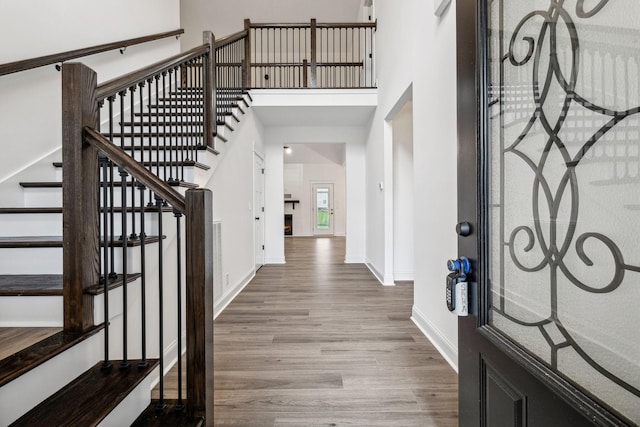 foyer with hardwood / wood-style floors and a high ceiling