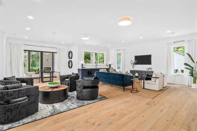 living room with light hardwood / wood-style flooring, ornamental molding, and sink