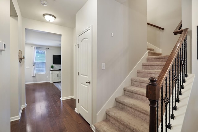 staircase with wood-type flooring