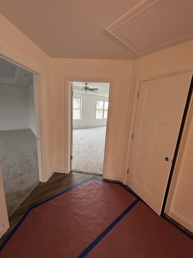 hallway with attic access and dark colored carpet