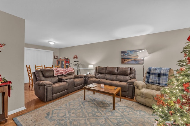 living room with hardwood / wood-style flooring