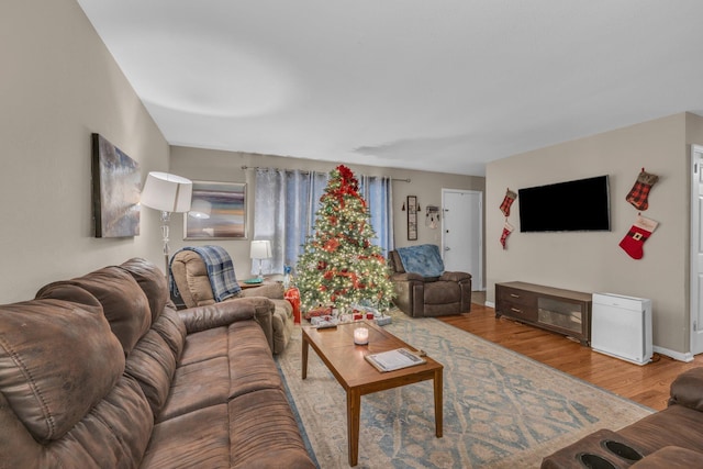 living room with hardwood / wood-style flooring