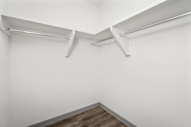 walk in closet featuring dark wood-type flooring