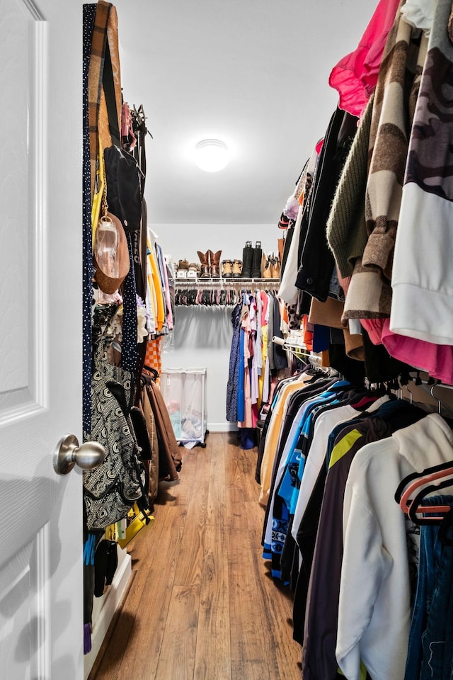 spacious closet featuring wood-type flooring