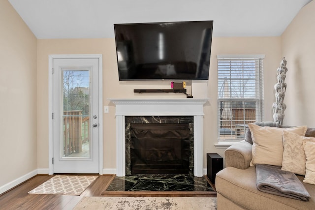 living room featuring a fireplace and hardwood / wood-style flooring