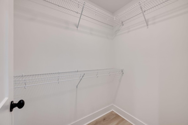 spacious closet featuring hardwood / wood-style floors