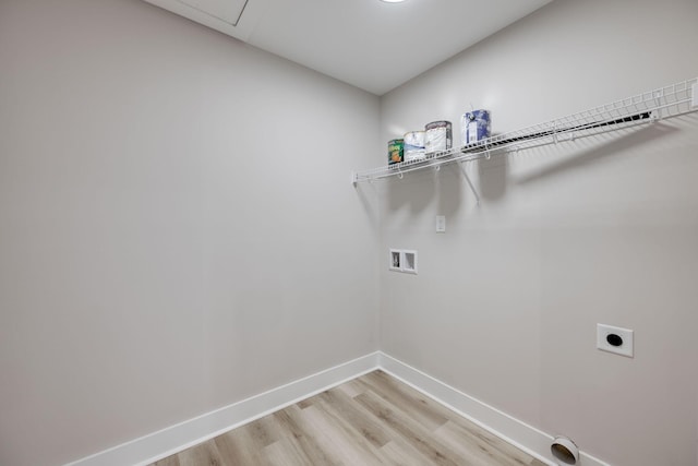 laundry room with washer hookup, electric dryer hookup, and light hardwood / wood-style flooring