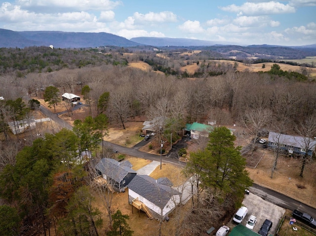 aerial view with a mountain view