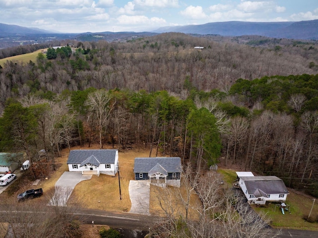 birds eye view of property featuring a mountain view