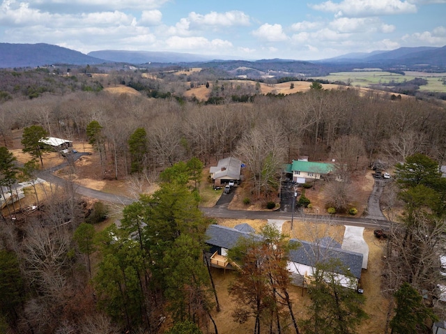 birds eye view of property featuring a mountain view