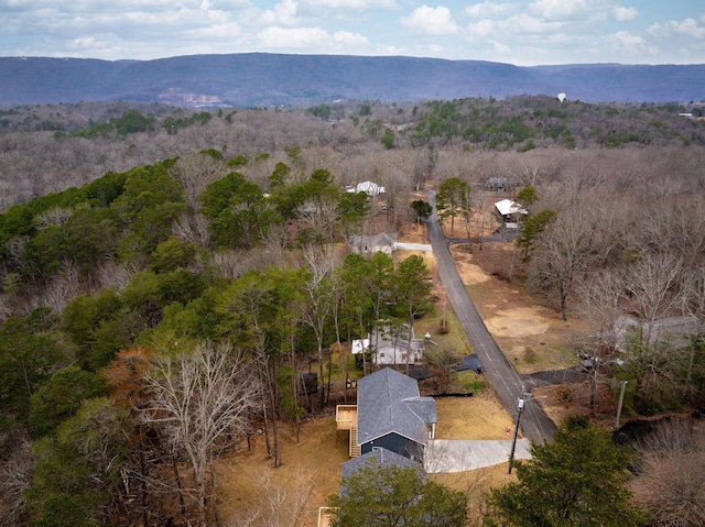 bird's eye view with a mountain view