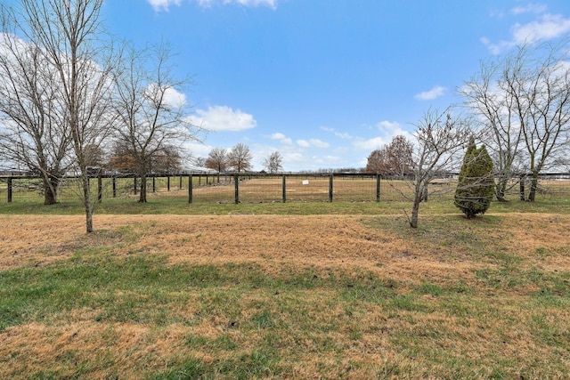 view of yard featuring a rural view