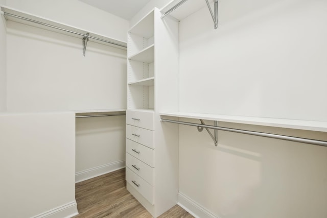 1049 Gholson Rd, Clarksville, TN 37043 - spacious closet with light wood-style flooring