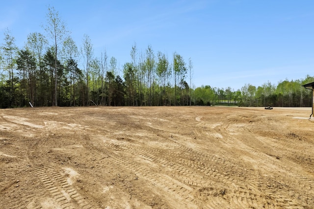 1049 Gholson Rd, Clarksville, TN 37043 - view of nature