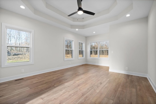 spare room featuring a raised ceiling, light hardwood / wood-style flooring, a wealth of natural light, and ceiling fan