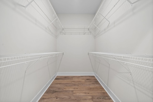 spacious closet with wood-type flooring