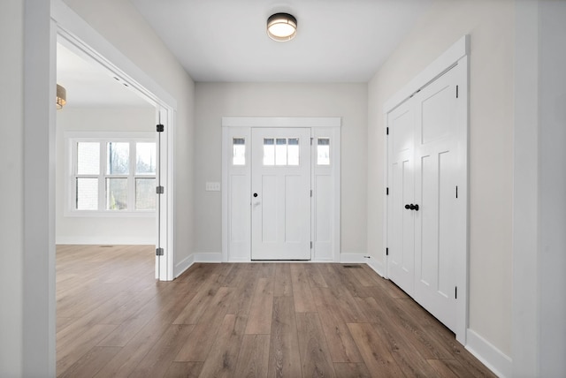 foyer entrance with wood-type flooring