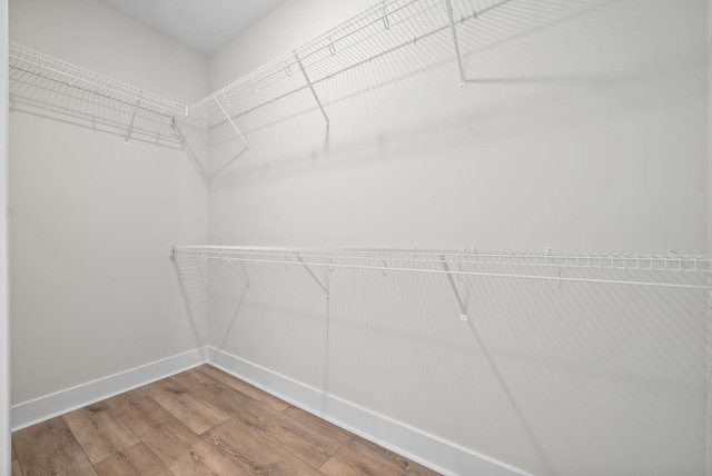 walk in closet featuring hardwood / wood-style flooring