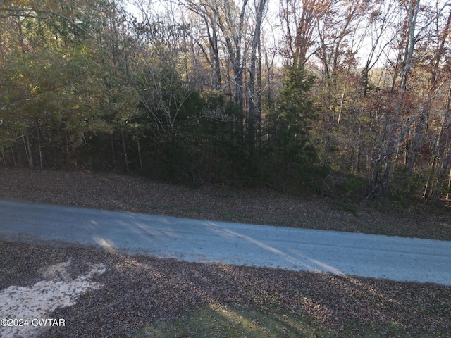 Listing photo 3 for 0 Smith Chapel Rd, Decaturville TN 38329